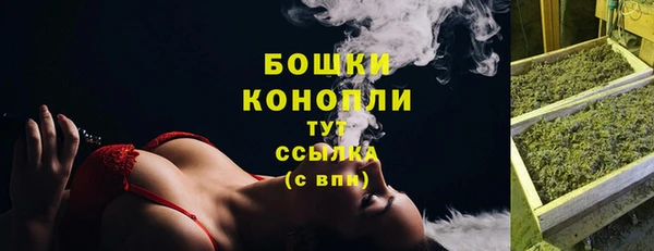 прущие грибы Белокуриха