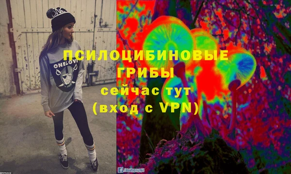 стафф Беломорск