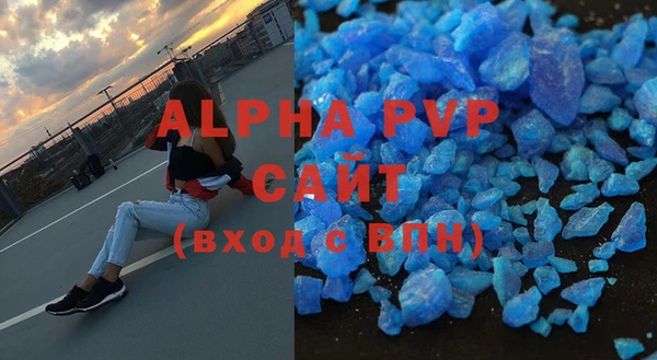 прущие грибы Белокуриха