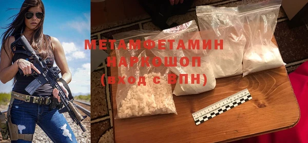 прущие грибы Белокуриха