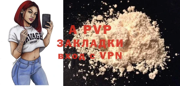 прущие грибы Белокуриха