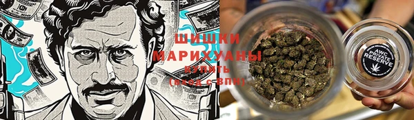 прущие грибы Белокуриха