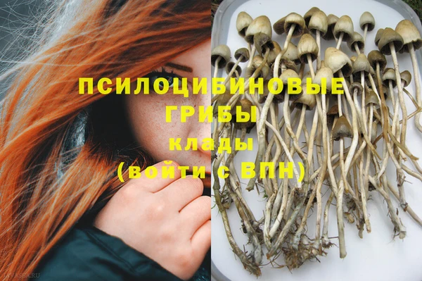 стафф Беломорск