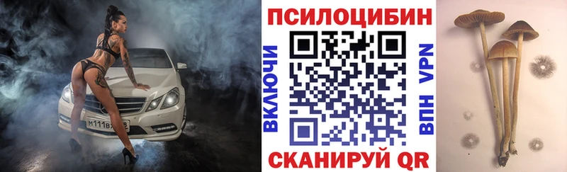 Псилоцибиновые грибы Magic Shrooms Пионерский